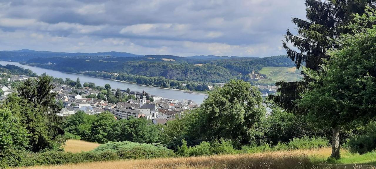Romantische Ferienwohnung Bad Breisig Exteriör bild
